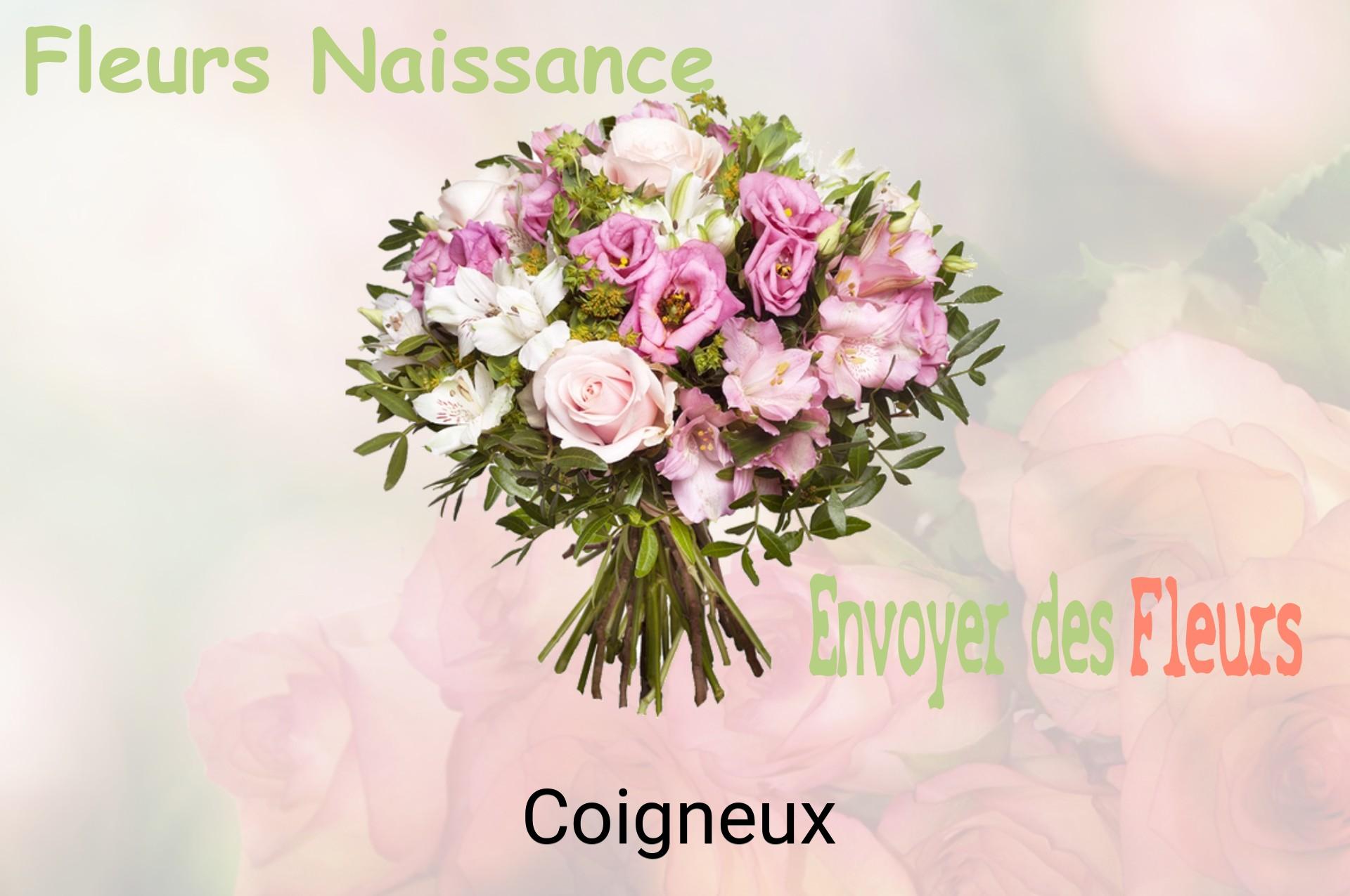Bouquet de fleurs de naissance livré à Coigneux