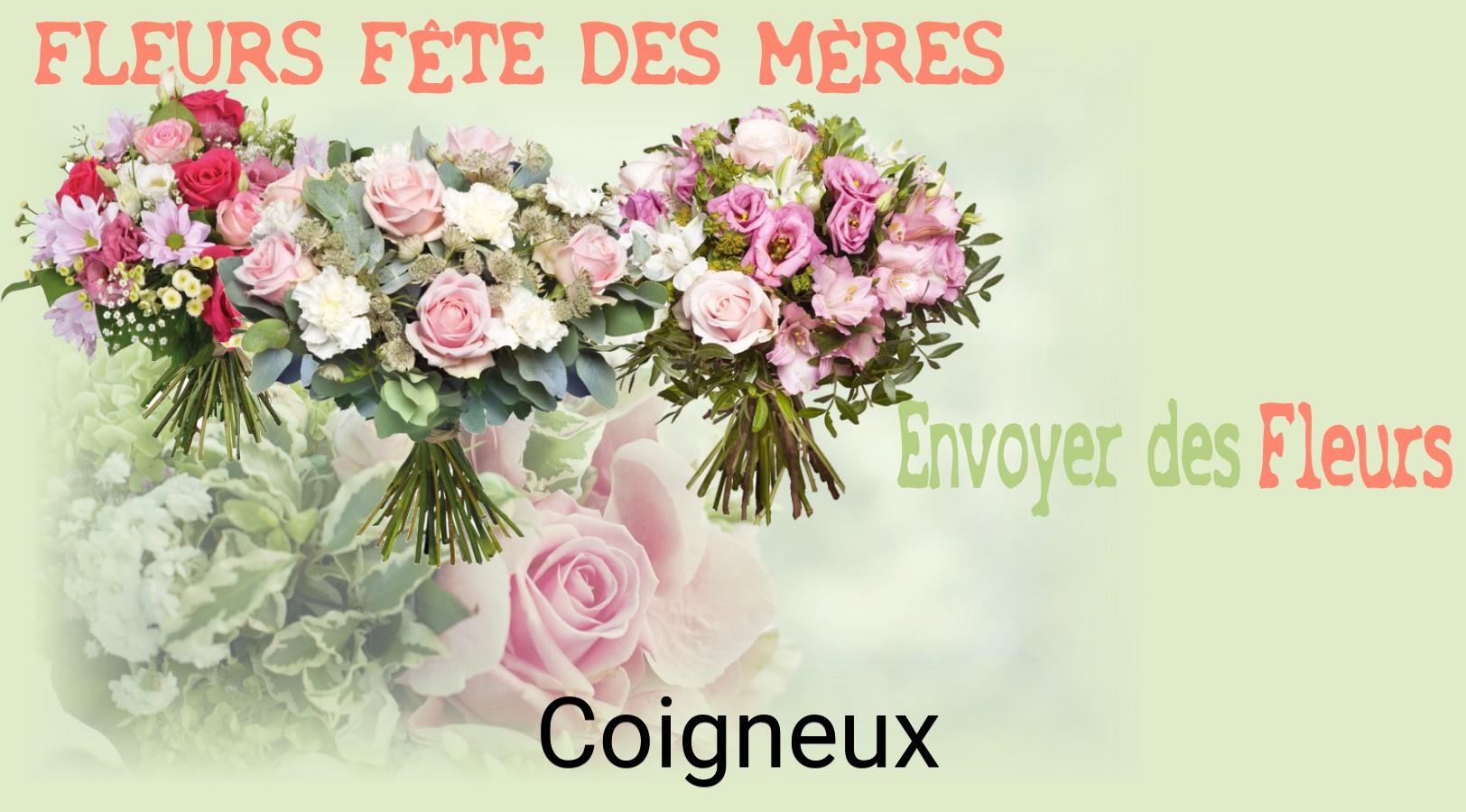 Bouquet de Fête des Mères livré à Coigneux